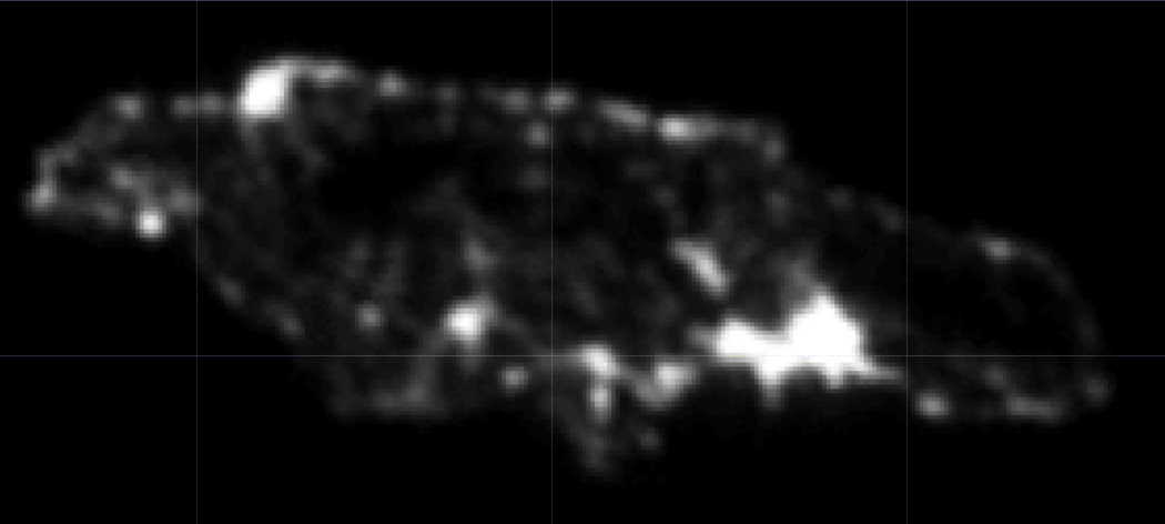 Night Lights Satellite